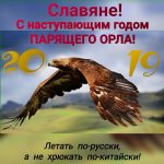 IMG-20181231-WA0050.jpg