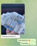 65BDC3A7-DE68-427D-AD87-34038DA0F70C.jpeg